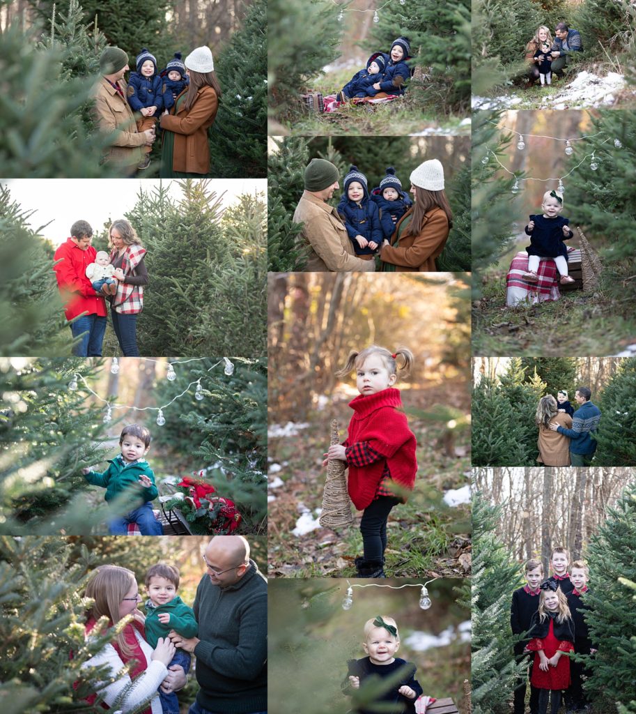 Christmas Mini Session Tree Farm 