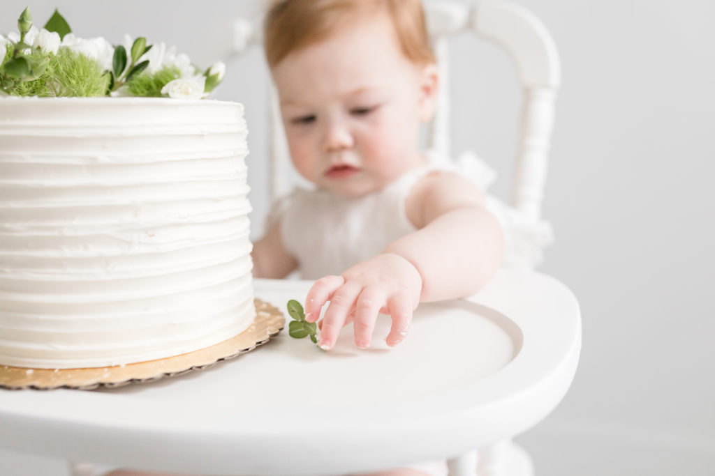 gibsonia first birthday session
